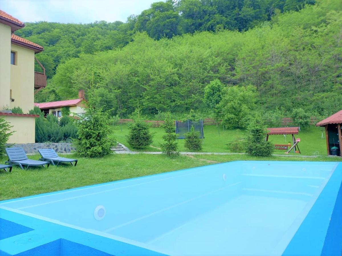 Pensiunea Castania - Pensiune Cu Piscina La Munte Половраджи Экстерьер фото